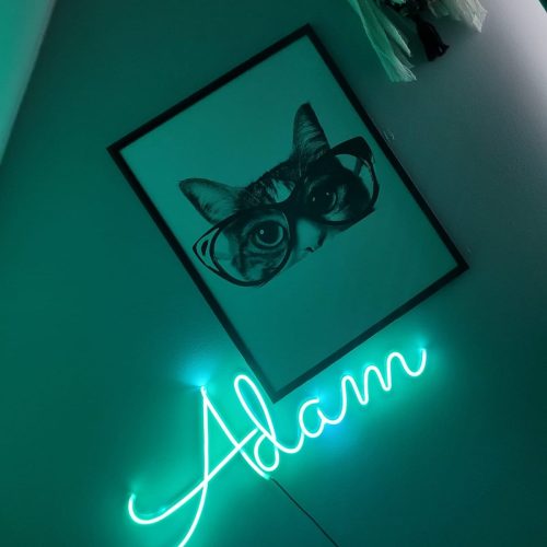 Neon Adam